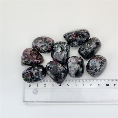 Eudialyte XL